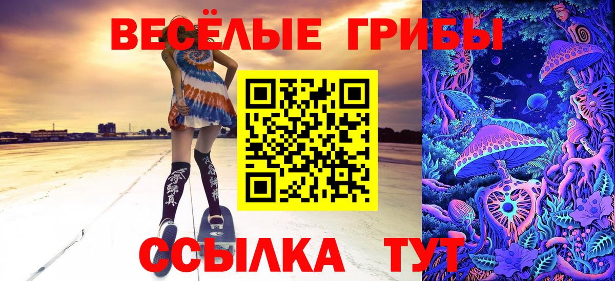 Псилоцибиновые грибы Cubensis  Вход с VPN  Псилоцибиновые грибы Psilocybine cubensis  Егорьевск 